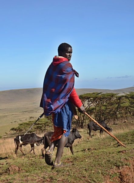 Cesta do národního parku Serengeti