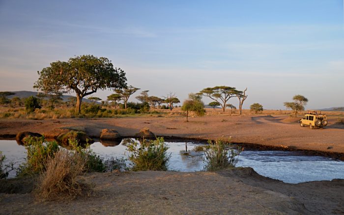 Národní park Serengeti