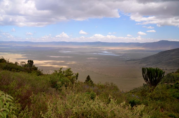 Kráter Ngorongoro