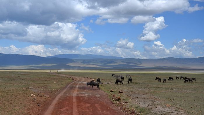 Národní park Ngorongoro