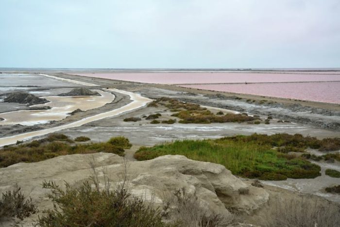 Růžové solné jezero Salin de Giraud